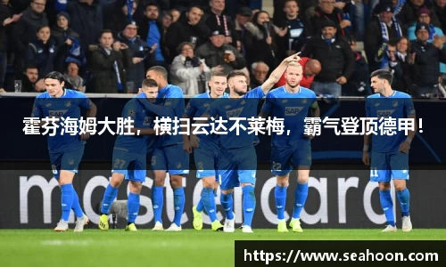 霍芬海姆大胜，横扫云达不莱梅，霸气登顶德甲！