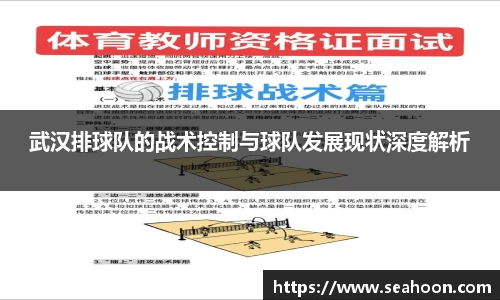 武汉排球队的战术控制与球队发展现状深度解析
