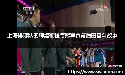 上海排球队的辉煌征程与冠军赛背后的奋斗故事