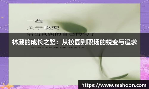 星空体育网站入口
