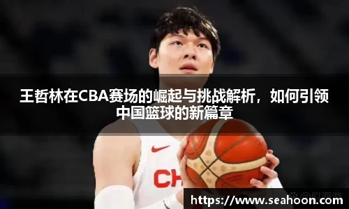 王哲林在CBA赛场的崛起与挑战解析，如何引领中国篮球的新篇章