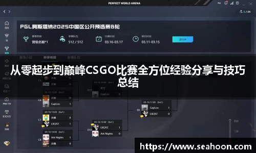 从零起步到巅峰CSGO比赛全方位经验分享与技巧总结